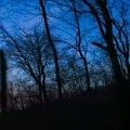 Sheltowee Trace Moonrise